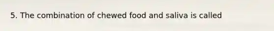 5. The combination of chewed food and saliva is called