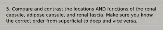 5. Compare and contrast the locations AND functions of the renal capsule, adipose capsule, and renal fascia. Make sure you know the correct order from superficial to deep and vice versa.