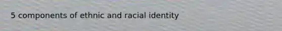 5 components of ethnic and racial identity