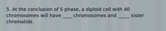 5. At the conclusion of S phase, a diploid cell with 40 chromosomes will have ____ chromosomes and _____ sister chromatids.