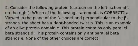 5. Consider the following protein (cartoon on the left, schematic on the right): Which of the following statements is CORRECT? a. Viewed in the plane of the β- sheet and perpendicular to the β-strands, the sheet has a right-handed twist b. This is an example of an all-α protein domain c. This protein contains only parallel beta strands d. This protein contains only antiparallel beta strands e. None of the other choices are correct