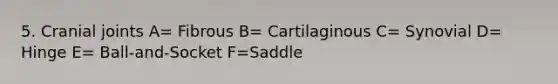 5. Cranial joints A= Fibrous B= Cartilaginous C= Synovial D= Hinge E= Ball-and-Socket F=Saddle