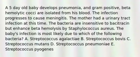 A 5 day old baby develops pneumonia, and gram positive, beta hemolytic cocci are isolated from his blood. The infection progresses to cause meningitis. The mother had a urinary tract infection at this time. The bacteria are insensitive to bacitracin but enhance beta hemolysis by Staphylococcus aureus. The baby's infection is most likely due to which of the following bacteria? A. Streptococcus agalactiae B. Streptococcus bovis C. Streptococcus mutans D. Streptococcus pneumoniae E. Streptococcus pyogenes