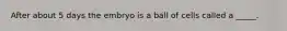 After about 5 days the embryo is a ball of cells called a _____.
