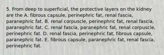 5. From deep to superficial, the protective layers on the kidney are the A. fibrous capsule, perinephric fat, renal fascia, paranephric fat. B. renal corpuscle, perinephric fat, renal fascia, paranephric fat. C. renal fascia, paranephric fat, renal corpuscle, perinephric fat. D. renal fascia, perinephric fat, fibrous capsule, paranephric fat. E. fibrous capsule, paranephric fat, renal fascia, perinephric fat.