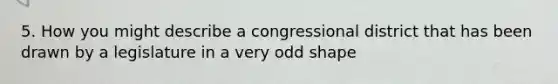 5. How you might describe a congressional district that has been drawn by a legislature in a very odd shape