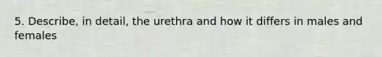 5. Describe, in detail, the urethra and how it differs in males and females