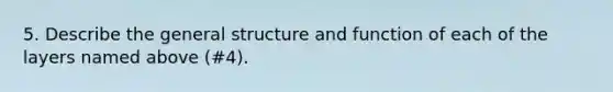 5. Describe the general structure and function of each of the layers named above (#4).