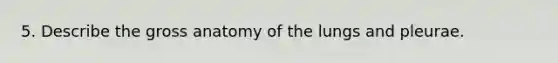 5. Describe the gross anatomy of the lungs and pleurae.
