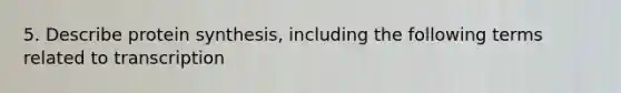 5. Describe protein synthesis, including the following terms related to transcription