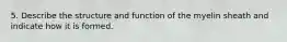 5. Describe the structure and function of the myelin sheath and indicate how it is formed.