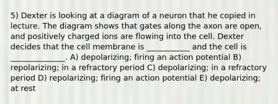 5) Dexter is looking at a diagram of a neuron that he copied in lecture. The diagram shows that gates along the axon are open, and positively charged ions are flowing into the cell. Dexter decides that the cell membrane is ___________ and the cell is ______________. A) depolarizing; firing an action potential B) repolarizing; in a refractory period C) depolarizing; in a refractory period D) repolarizing; firing an action potential E) depolarizing; at rest