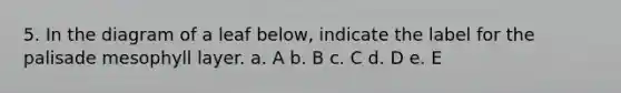 5. In the diagram of a leaf below, indicate the label for the palisade mesophyll layer. a. A b. B c. C d. D e. E