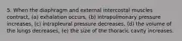 5. When the diaphragm and external intercostal muscles contract, (a) exhalation occurs, (b) intrapulmonary pressure increases, (c) intrapleural pressure decreases, (d) the volume of the lungs decreases, (e) the size of the thoracic cavity increases.