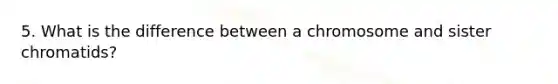 5. What is the difference between a chromosome and sister chromatids?