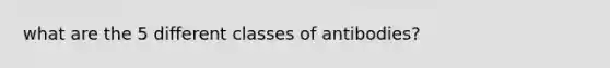 what are the 5 different classes of antibodies?