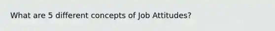 What are 5 different concepts of Job Attitudes?