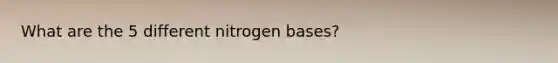 What are the 5 different nitrogen bases?