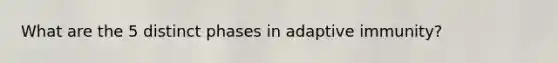What are the 5 distinct phases in adaptive immunity?