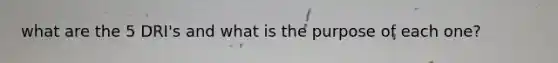 what are the 5 DRI's and what is the purpose of each one?