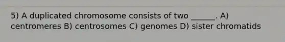 5) A duplicated chromosome consists of two ______. A) centromeres B) centrosomes C) genomes D) sister chromatids