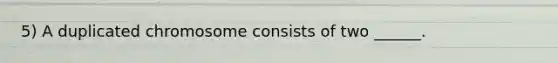 5) A duplicated chromosome consists of two ______.