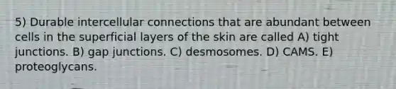 5) Durable intercellular connections that are abundant between cells in the superficial layers of the skin are called A) tight junctions. B) gap junctions. C) desmosomes. D) CAMS. E) proteoglycans.