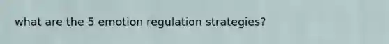 what are the 5 emotion regulation strategies?