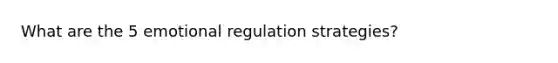 What are the 5 emotional regulation strategies?