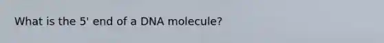 What is the 5' end of a DNA molecule?