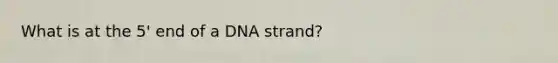 What is at the 5' end of a DNA strand?