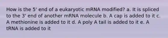 How is the 5' end of a eukaryotic mRNA modified? a. It is spliced to the 3' end of another mRNA molecule b. A cap is added to it c. A methionine is added to it d. A poly A tail is added to it e. A tRNA is added to it