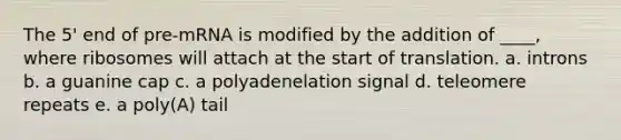 The 5' end of pre-mRNA is modified by the addition of ____, where ribosomes will attach at the start of translation. a. introns b. a guanine cap c. a polyadenelation signal d. teleomere repeats e. a poly(A) tail