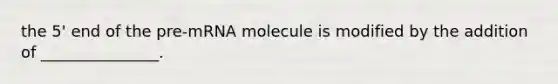 the 5' end of the pre-mRNA molecule is modified by the addition of _______________.