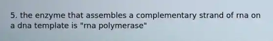 5. the enzyme that assembles a complementary strand of rna on a dna template is "rna polymerase"