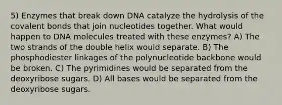 5) Enzymes that break down DNA catalyze the hydrolysis of the covalent bonds that join nucleotides together. What would happen to DNA molecules treated with these enzymes? A) The two strands of the double helix would separate. B) The phosphodiester linkages of the polynucleotide backbone would be broken. C) The pyrimidines would be separated from the deoxyribose sugars. D) All bases would be separated from the deoxyribose sugars.