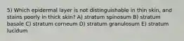 5) Which epidermal layer is not distinguishable in thin skin, and stains poorly in thick skin? A) stratum spinosum B) stratum basale C) stratum corneum D) stratum granulosum E) stratum lucidum