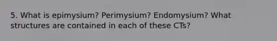 5. What is epimysium? Perimysium? Endomysium? What structures are contained in each of these CTs?