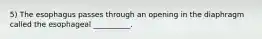 5) The esophagus passes through an opening in the diaphragm called the esophageal __________.