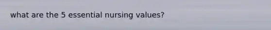 what are the 5 essential nursing values?