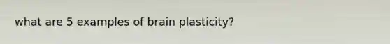 what are 5 examples of brain plasticity?