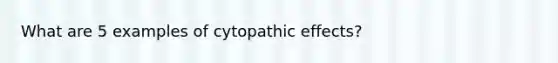 What are 5 examples of cytopathic effects?