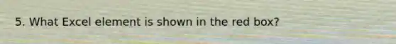 5. What Excel element is shown in the red box?