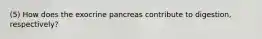 (5) How does the exocrine pancreas contribute to digestion, respectively?