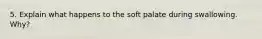 5. Explain what happens to the soft palate during swallowing. Why?