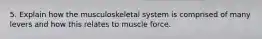 5. Explain how the musculoskeletal system is comprised of many levers and how this relates to muscle force.