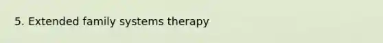 5. Extended family systems therapy