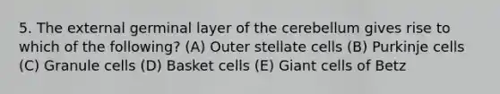 5. The external germinal layer of the cerebellum gives rise to which of the following? (A) Outer stellate cells (B) Purkinje cells (C) Granule cells (D) Basket cells (E) Giant cells of Betz