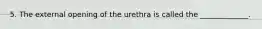 5. The external opening of the urethra is called the _____________.