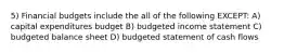 5) Financial budgets include the all of the following EXCEPT: A) capital expenditures budget B) budgeted income statement C) budgeted balance sheet D) budgeted statement of cash flows